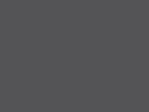 DAVY'S GREY