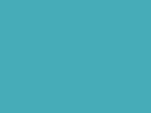 VERDIGRIS