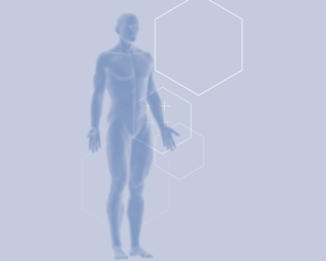 full body